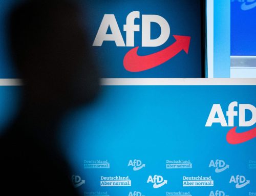 AFD gain 20% In Latest Poll