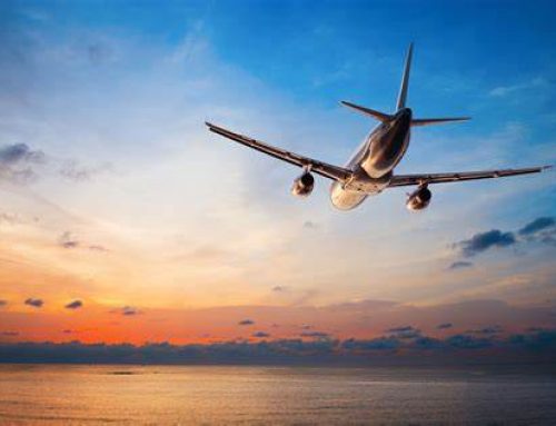 Privatising Remigration Will Ensure Its Success